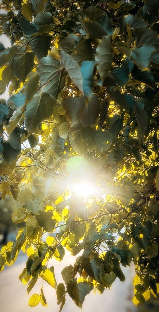 Photograph by Mishel Photographer