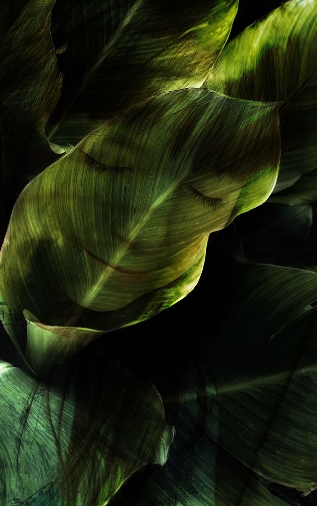 Photograph by Людмила М