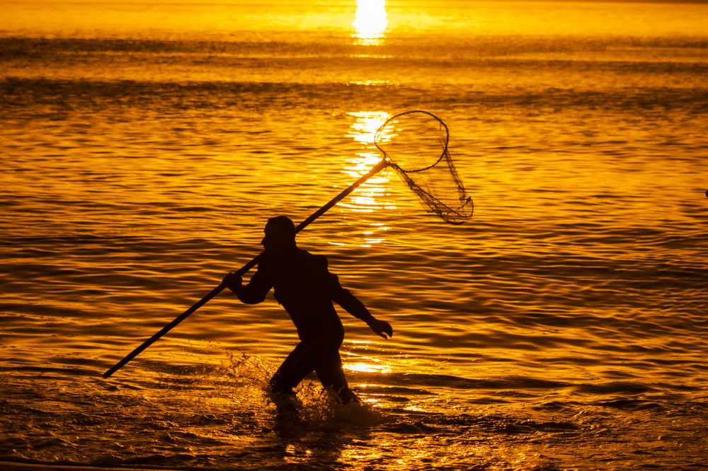 Photograph by Илья Комов