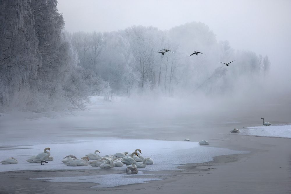 Фотография автора Галина Хвостенко
