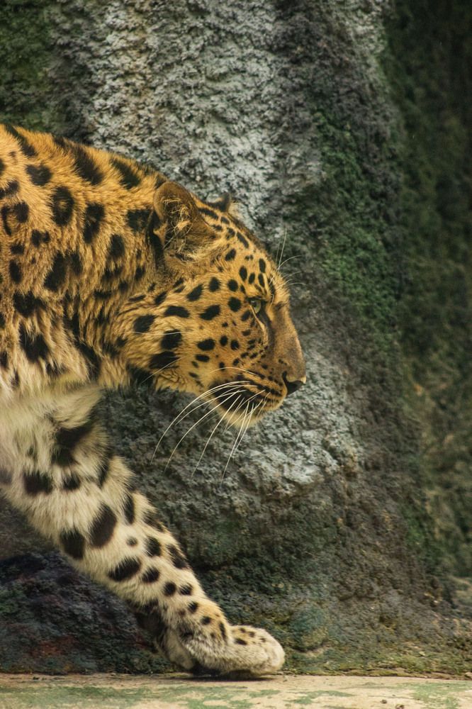 Photograph by Елена Ибрагимова