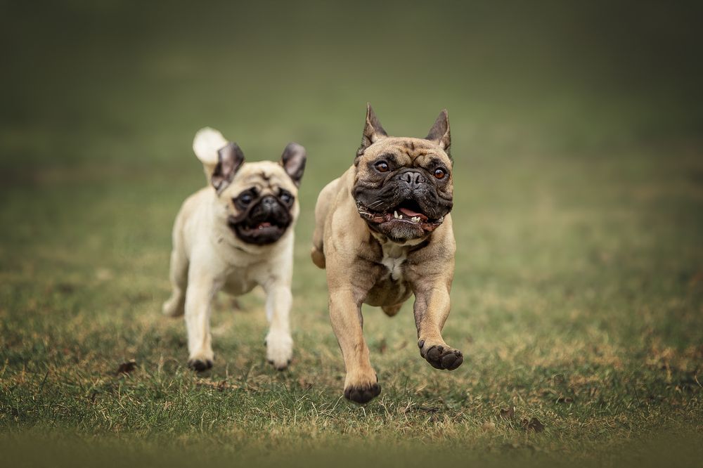 Photograph by Елена Самусенкова