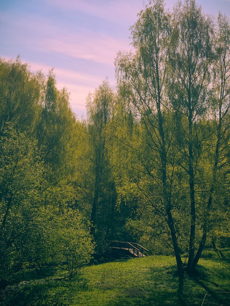 Photograph by Vol-de-M