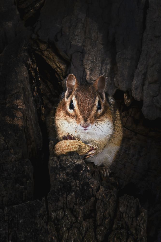 Photograph by Lu Gao