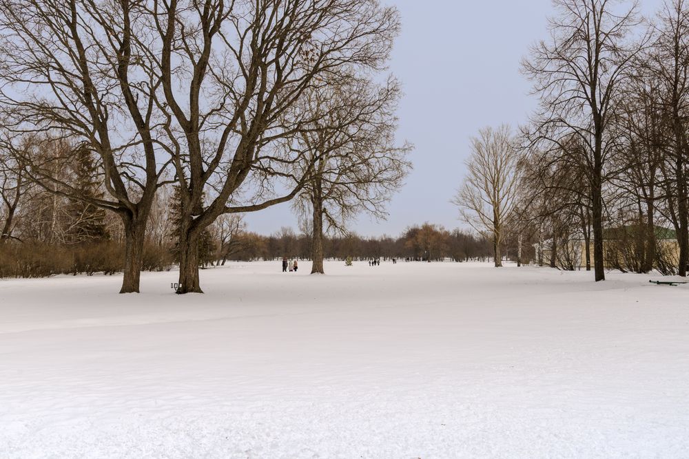 Photograph by YURIY TSARENKO