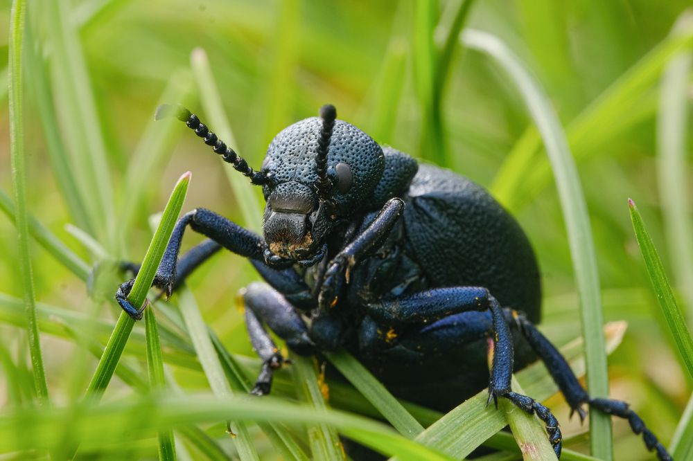 Photograph by Александр Высоцкий