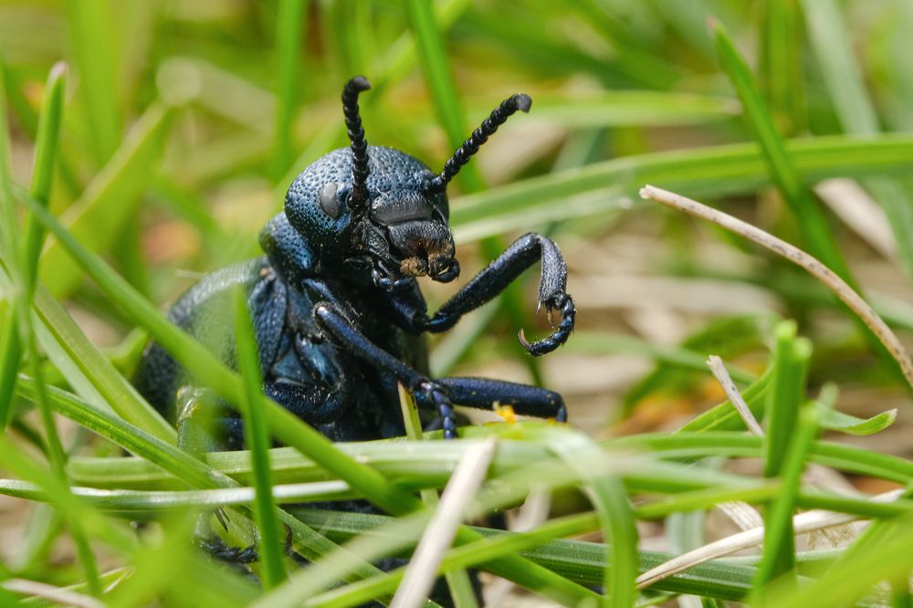 Photograph by Александр Высоцкий