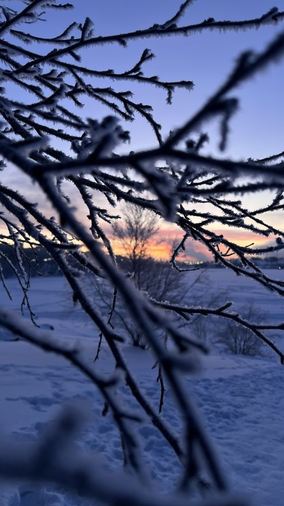 Photograph by Галина Скребей