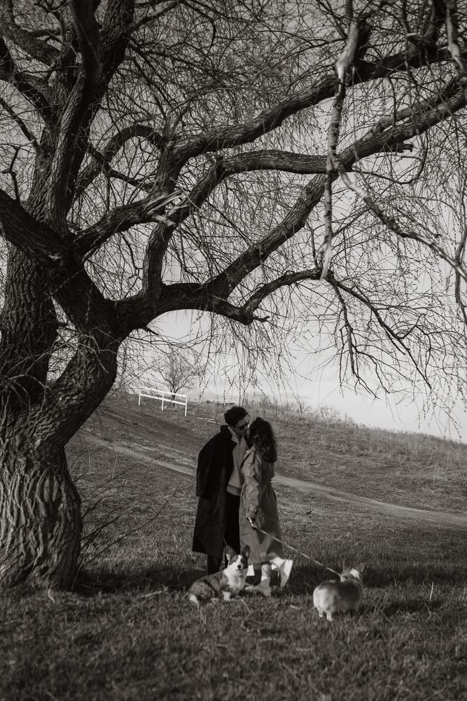 Photograph by Светлана Письменная