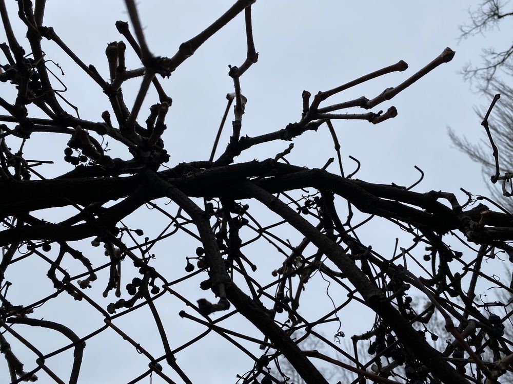 Photograph by Сергей Смирнов