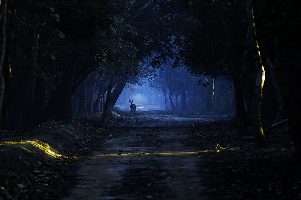 Photograph by Suyash Tilak