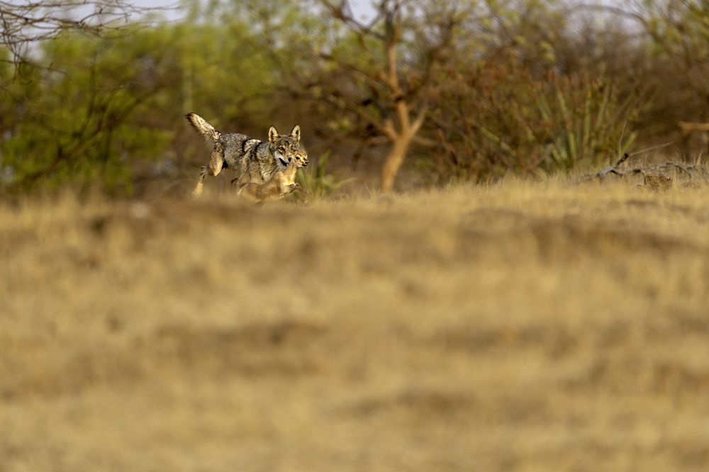 Photograph by Suyash Tilak