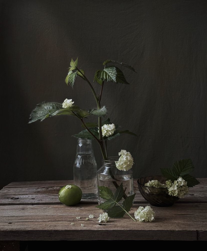 Photograph by Татьяна Семёнова