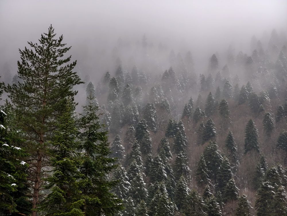 Photograph by Евгений Порсов