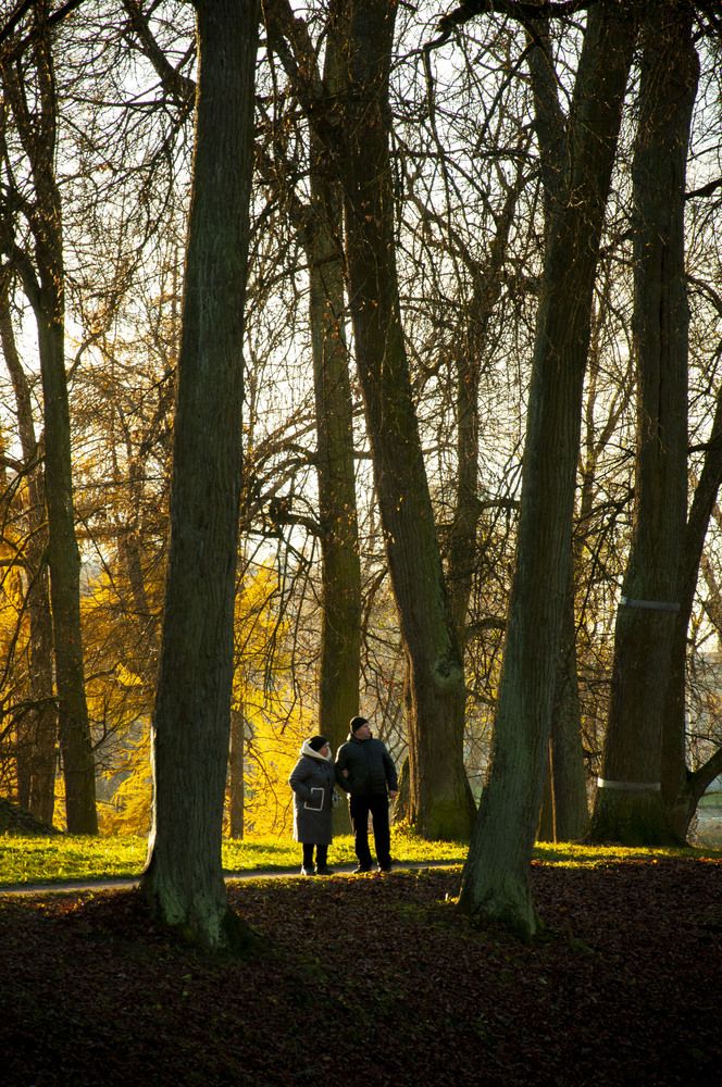 Photograph by Maoqing Che