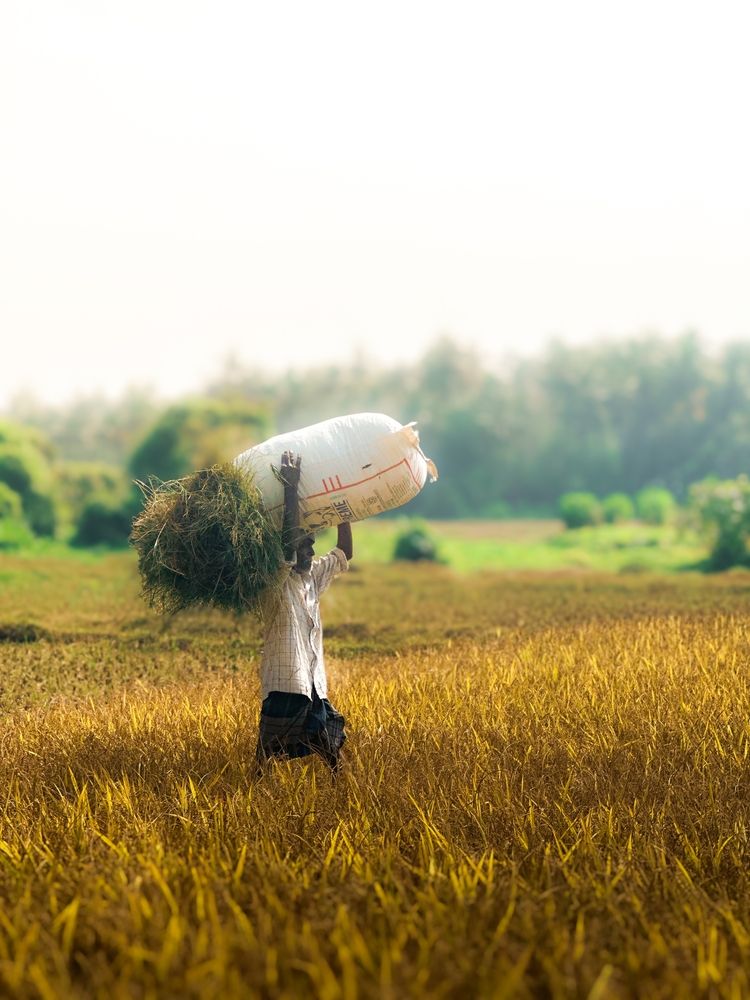 Photograph by Aadith dev