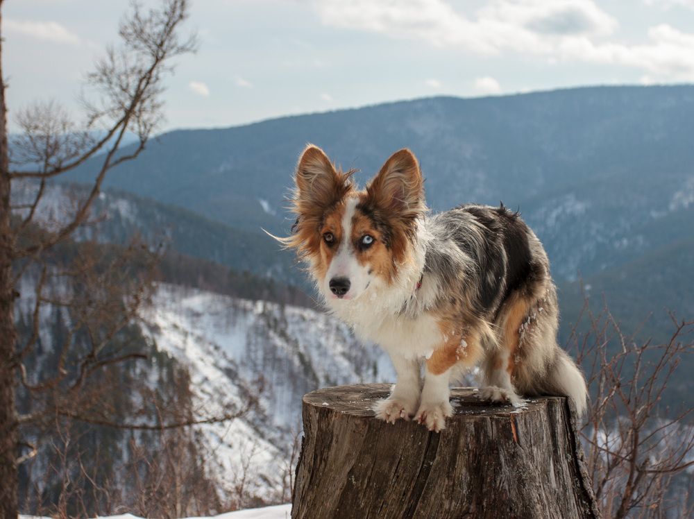 Фотография автора Червяков Григорий