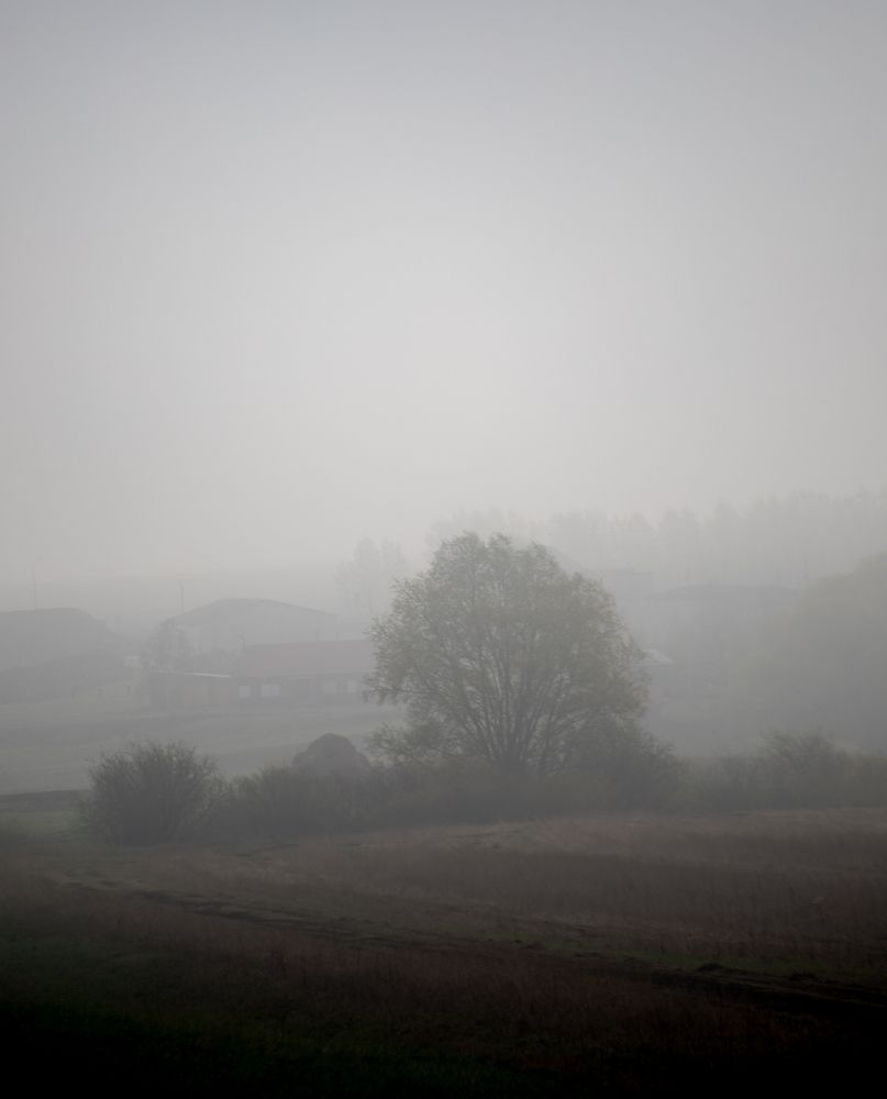 Photograph by Инна Леонтьева