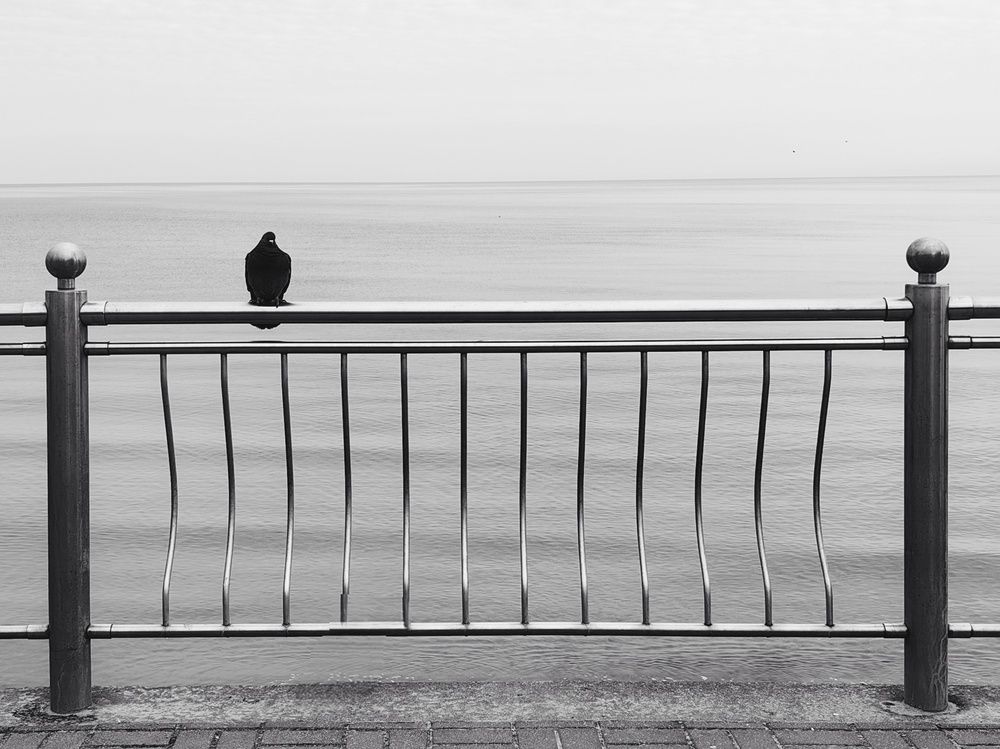 Photograph by Елена Акимова