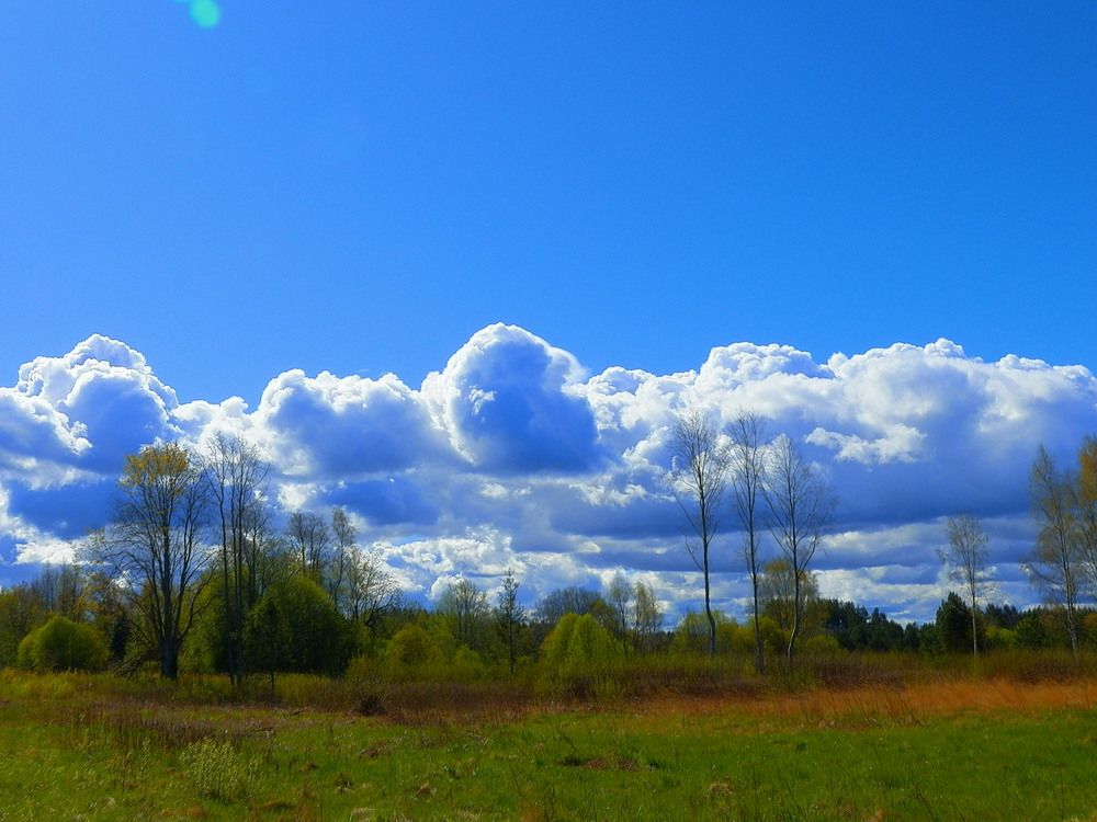 Photograph by Jevgeni Filimonov