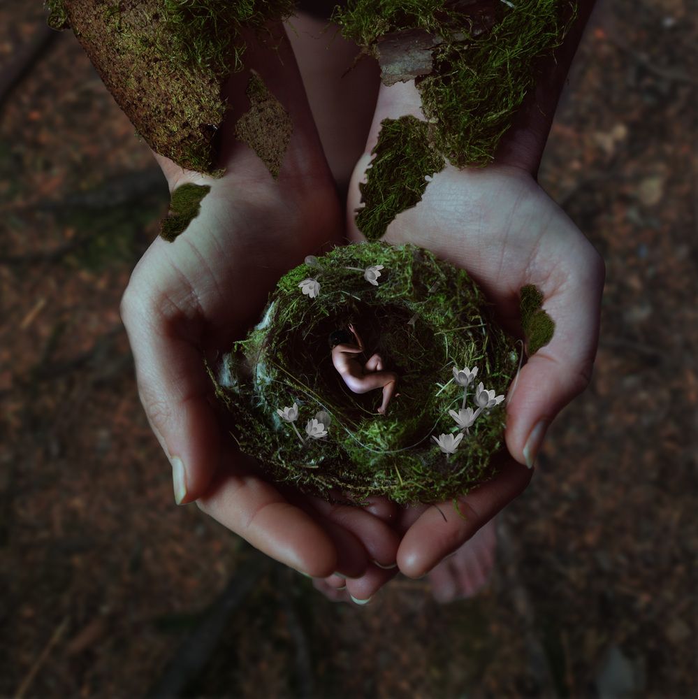 A cradle to begin