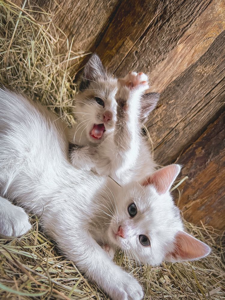 Photograph by Игорь Толкачев