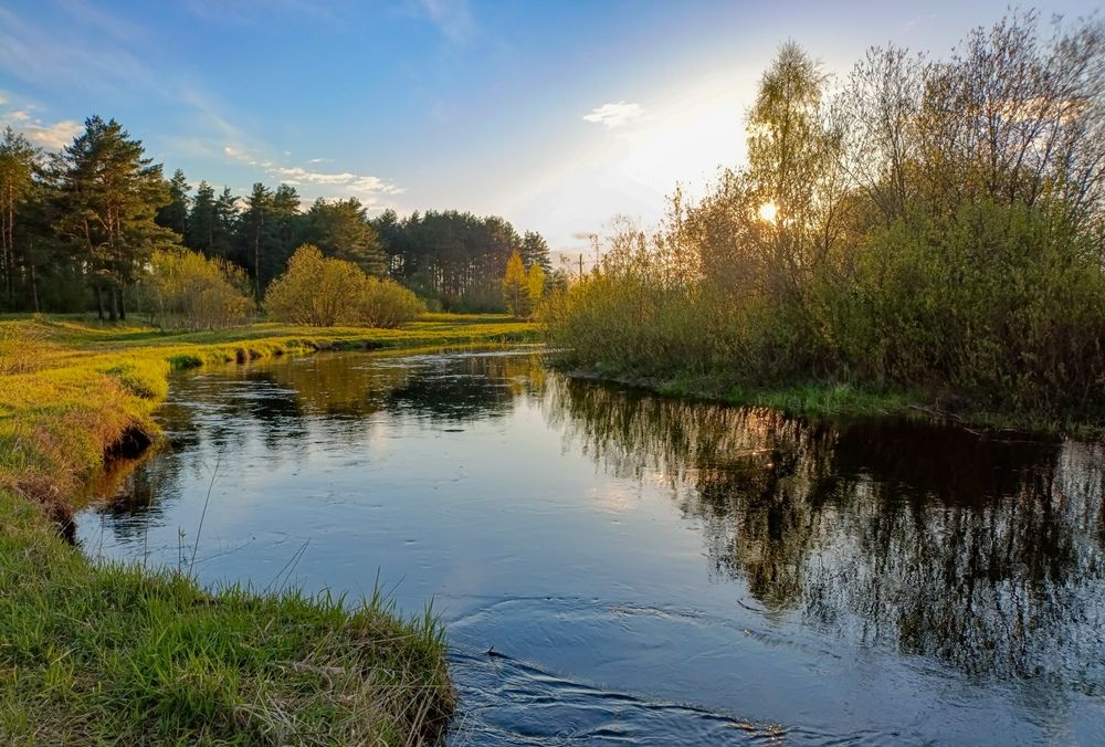 Photograph by Дмитрий Михайлов