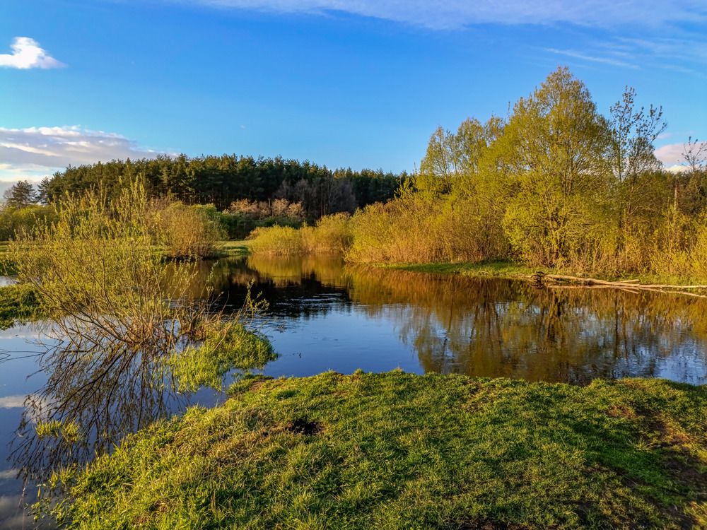 Photograph by Дмитрий Михайлов