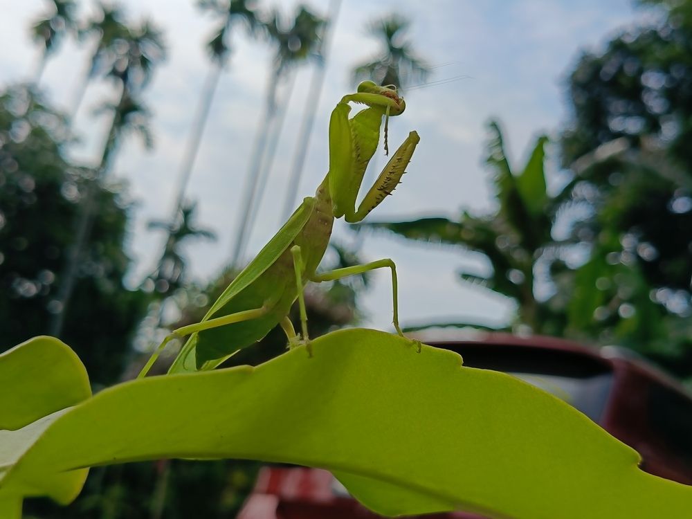Photograph by Tina Gogoi
