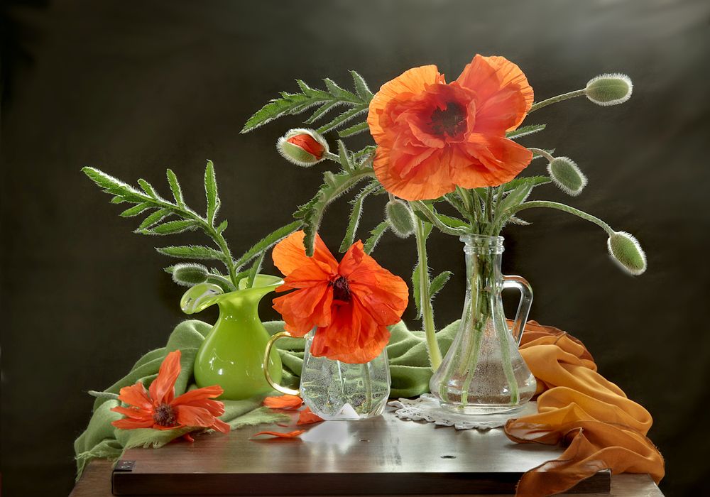 Photograph by Шруб (Беляева) Татьяна