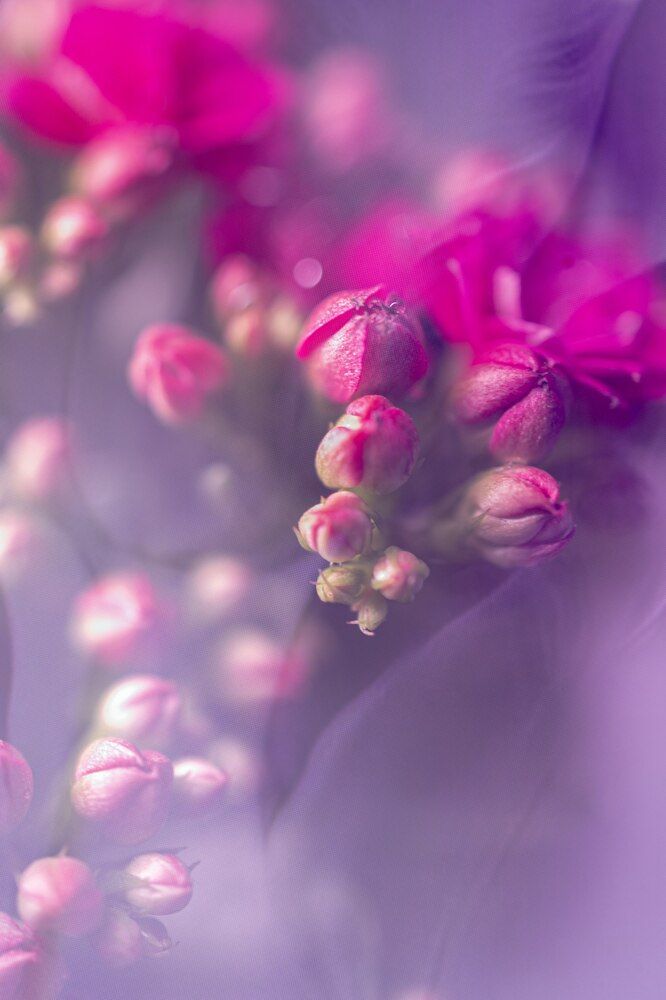 Photograph by Екатерина Митрохина