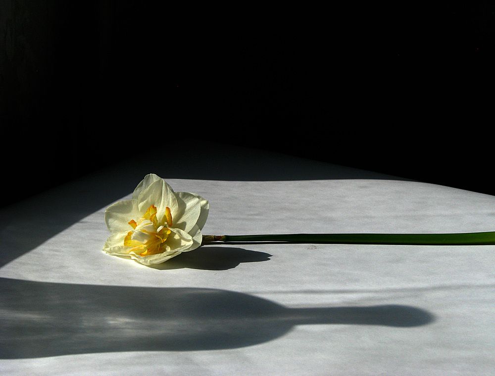 Photograph by Лада Кляузина