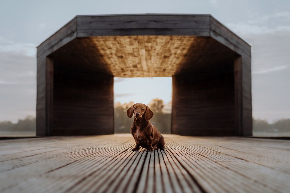 Photograph by Lena Buhla