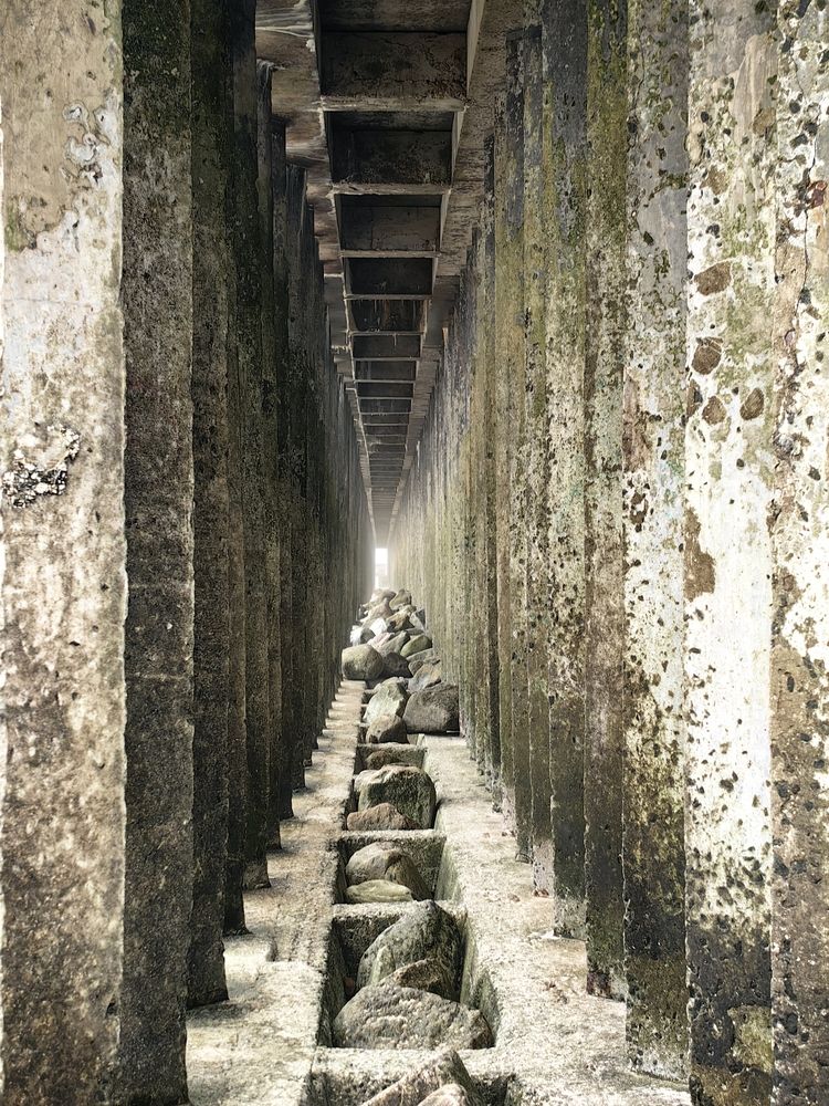 Photograph by Елена Акимова