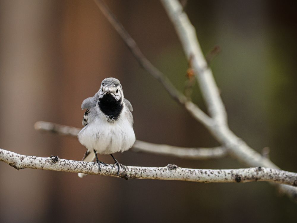 Photograph by Игорь Толкачев