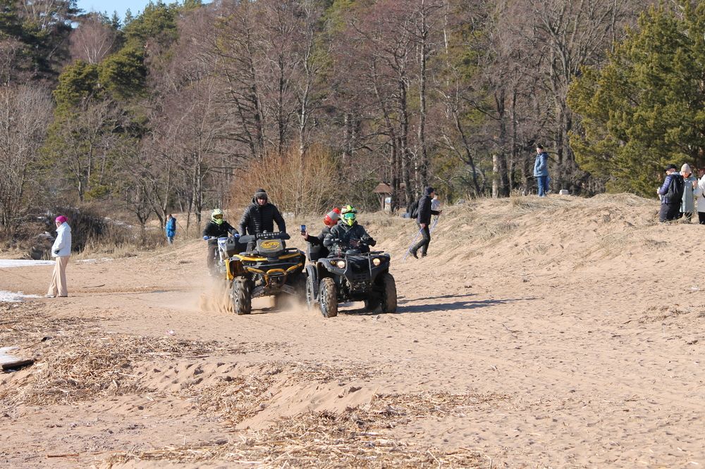 Photograph by Ольга Рыбина