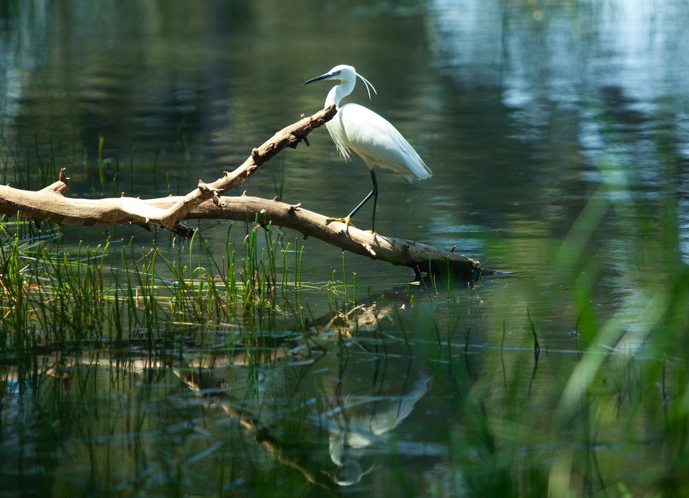 Photograph by Трегубов Лада