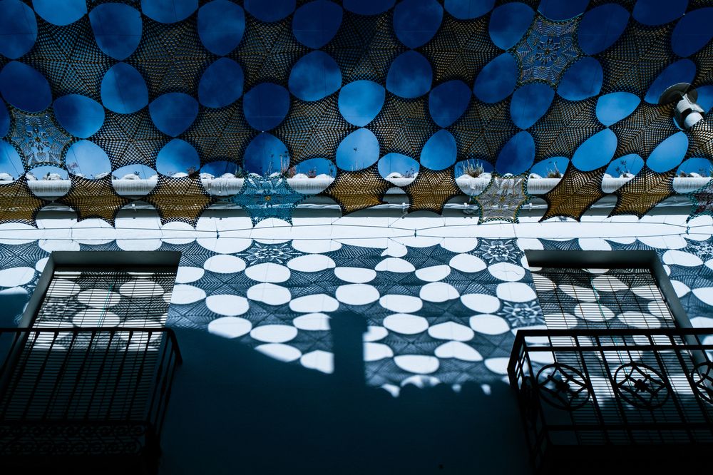 Фотография автора Emi D