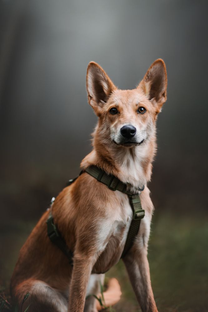 Photograph by Daria Koksharova