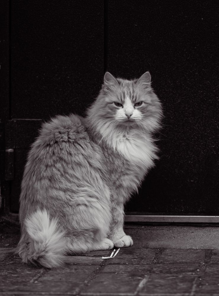 Photograph by Ксения Шилина