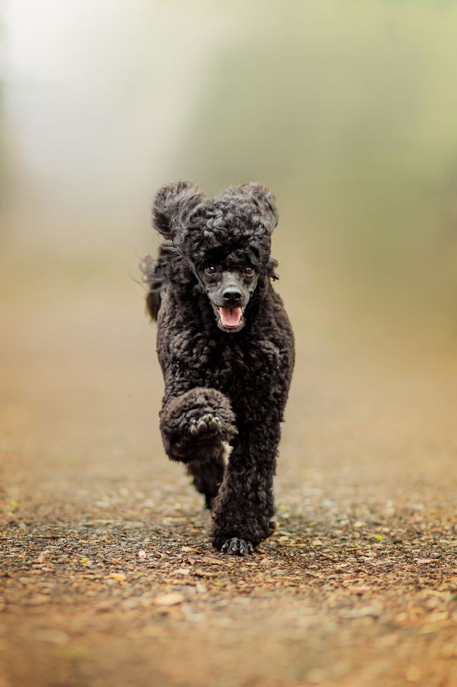 Photograph by Daria Koksharova