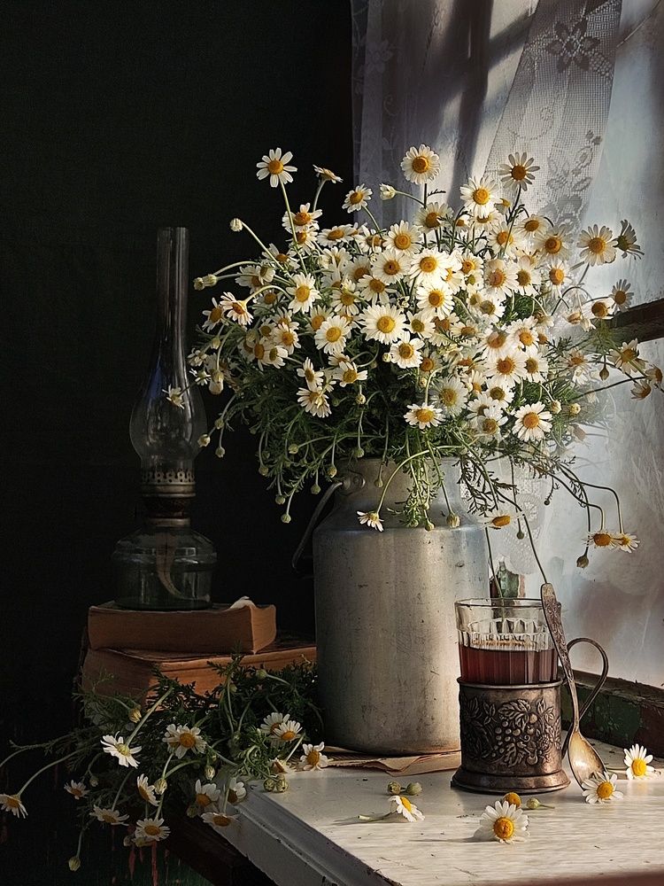 Photograph by Инга Шевелёва