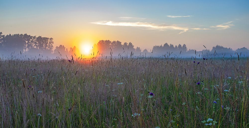 Photograph by Широких Александр