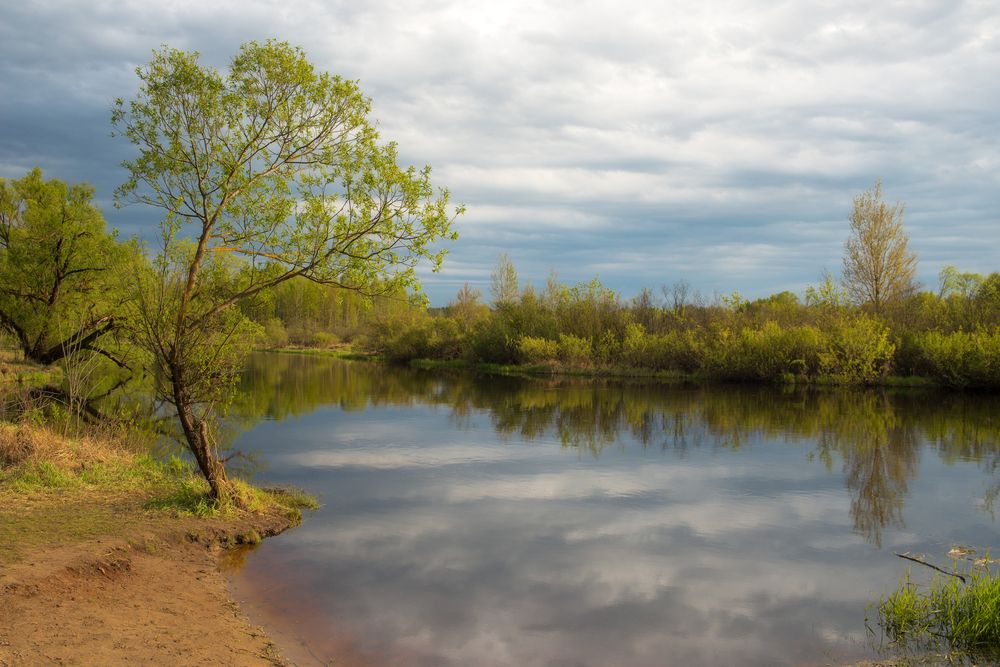 Фотография автора Илья
