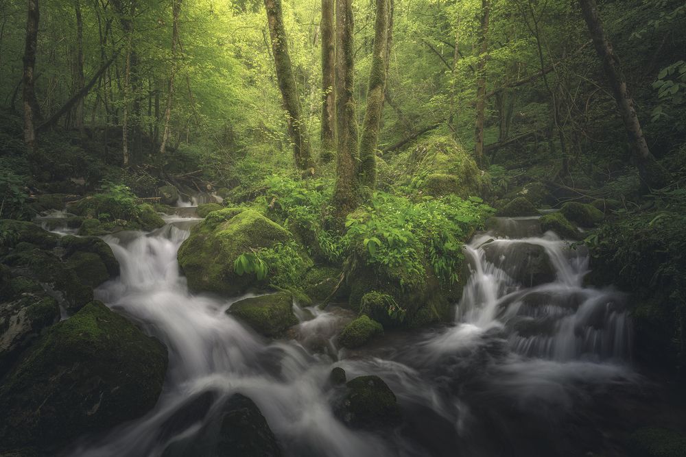 Photograph by de Franzoni Thomas
