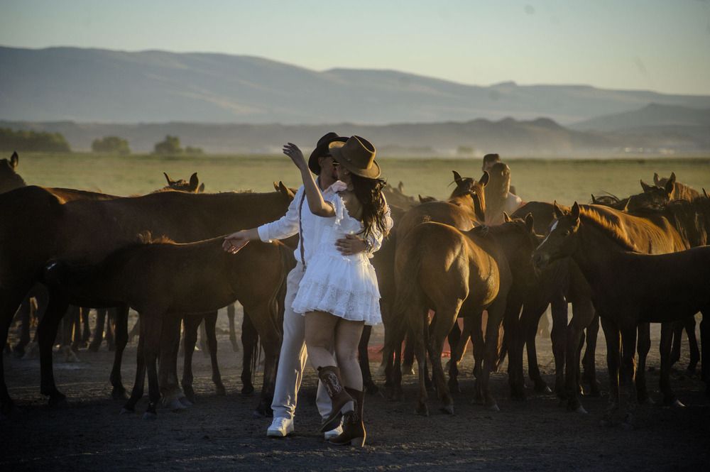 Photograph by DAMOUN POURNEMATI