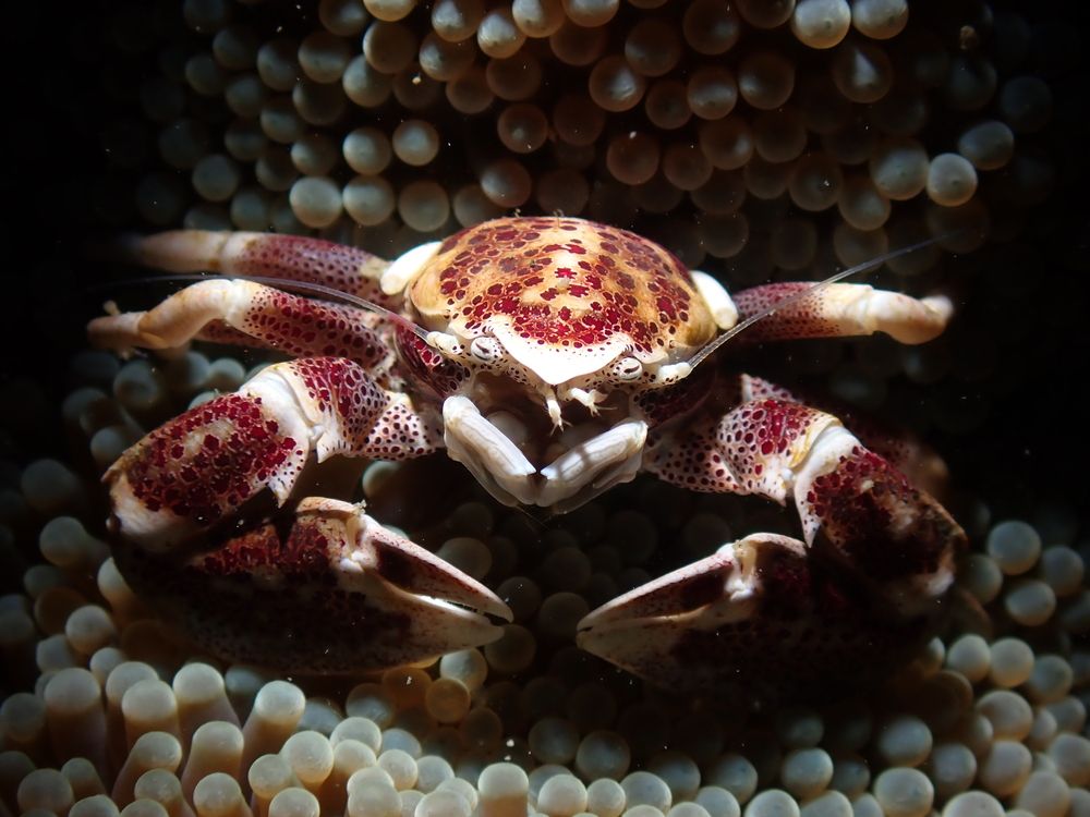 Photograph by MARY Demetillo