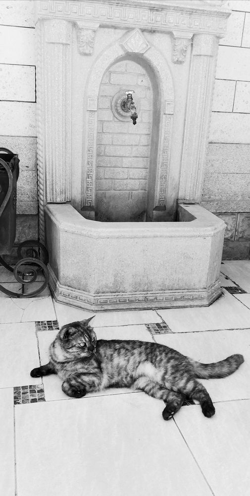 Photograph by Лариса Неудачина