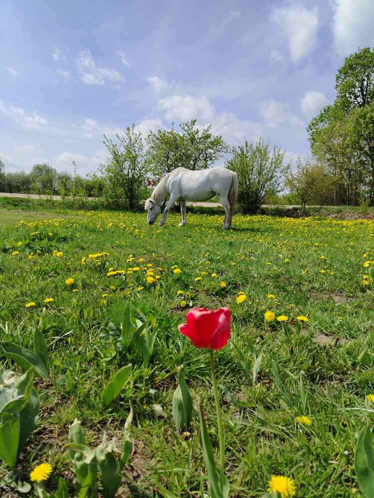 Photograph by Ирина Бельская