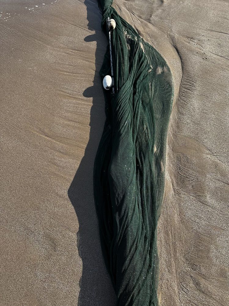 Photograph by Svetlana Rashidova